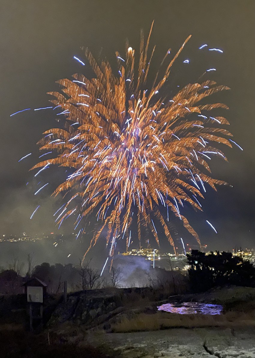 Nytt år - nye kulturbegivenheter